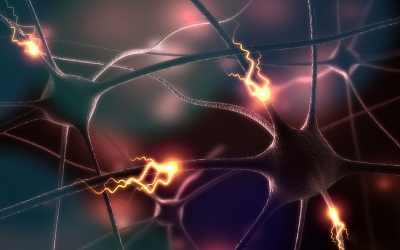 Нервная система пациента - Квинмед Нервная система пациента - Квинмед